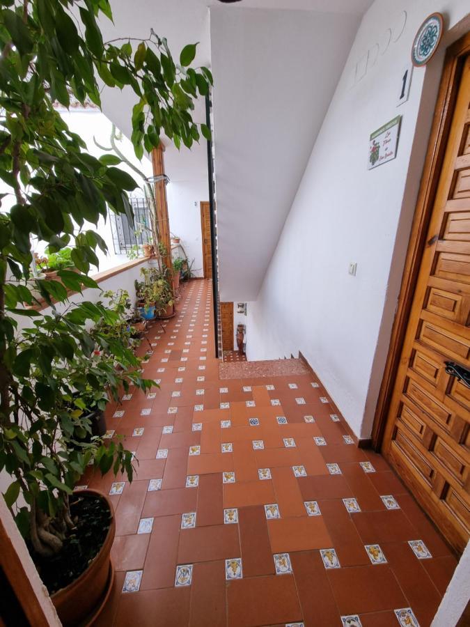 Apartamento Entre Patios San Basilio Apartment Kordoba Bagian luar foto