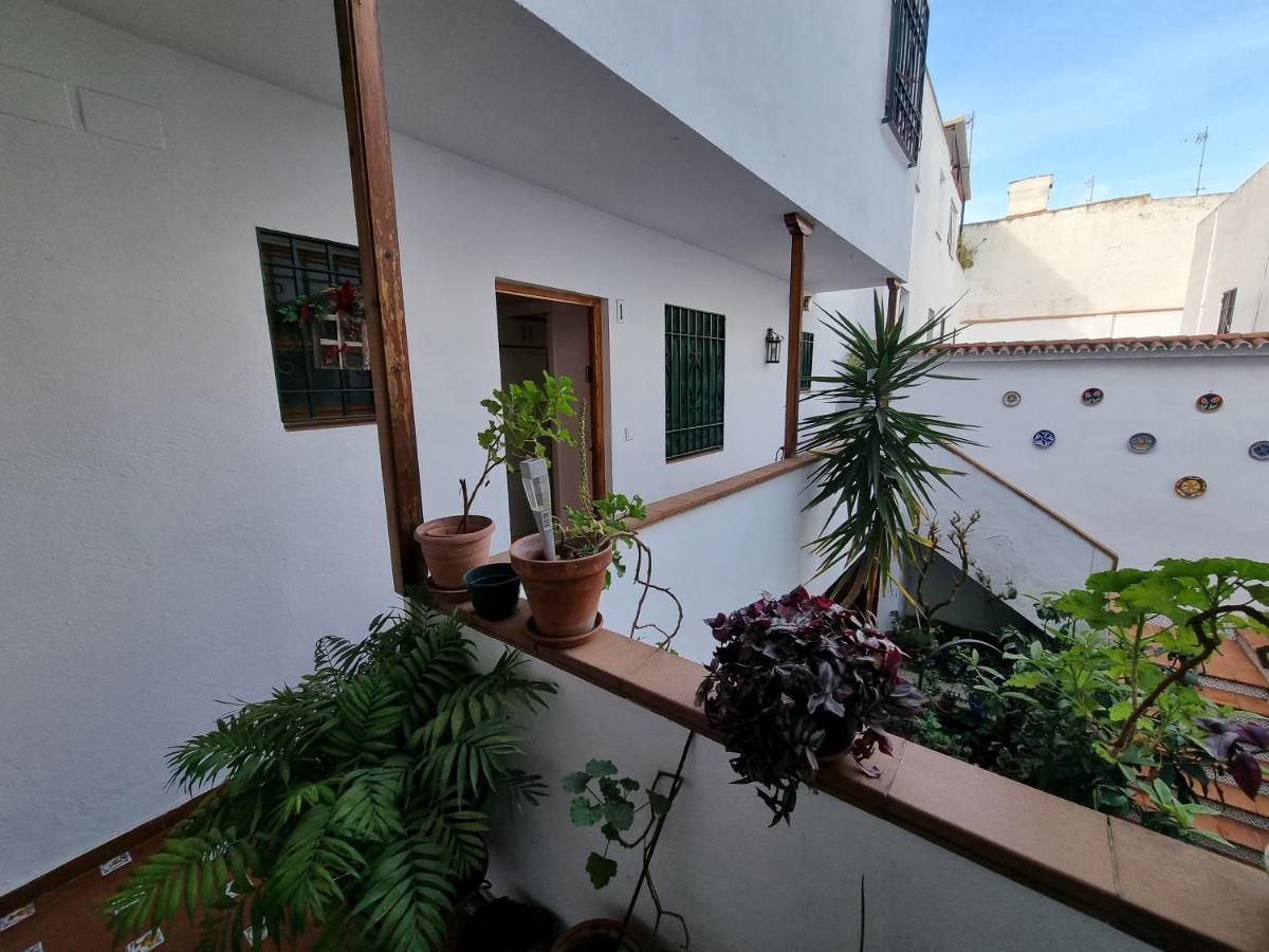 Apartamento Entre Patios San Basilio Apartment Kordoba Bagian luar foto