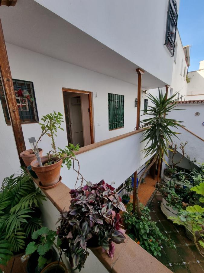 Apartamento Entre Patios San Basilio Apartment Kordoba Bagian luar foto